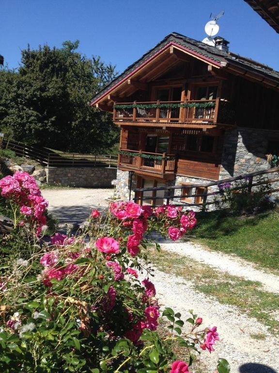 Chalet Emilie 谷雪维尔 外观 照片